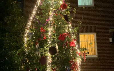 Weihnachtsbaum als Licht der Hoffnung